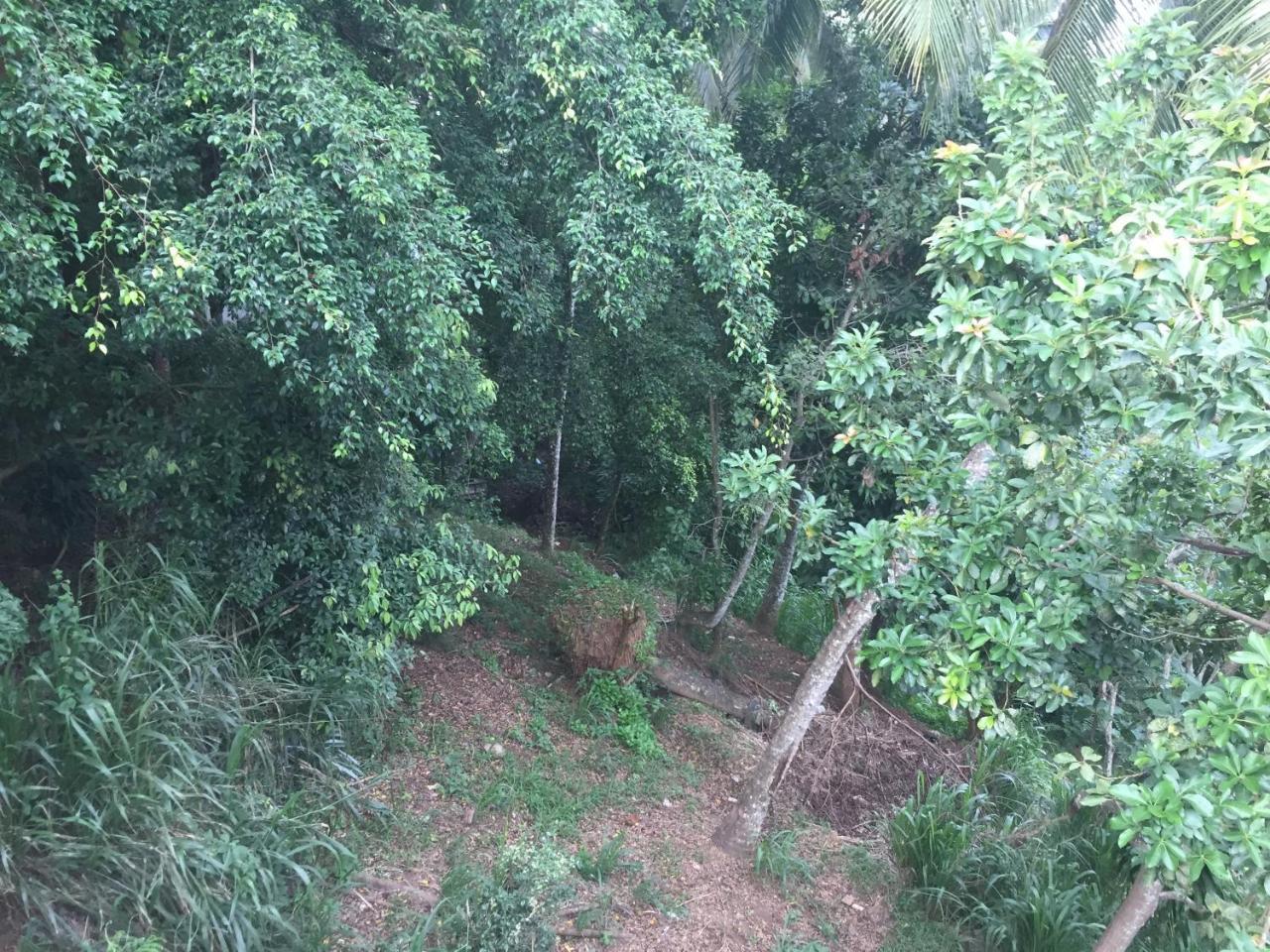 Upland Inn Kandy Luaran gambar